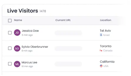 Live visitors view & proactive chats